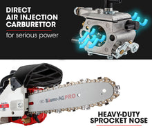 Load image into Gallery viewer, Baumr-AG 25CC Petrol Chainsaw Arborist 10 Bar Tree Pruning Garden Chain Saw
