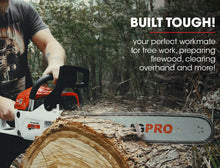 Load image into Gallery viewer, Baumr-AG 62CC Petrol Commercial Chainsaw 20 Bar E-Start Pruning Chain Saw
